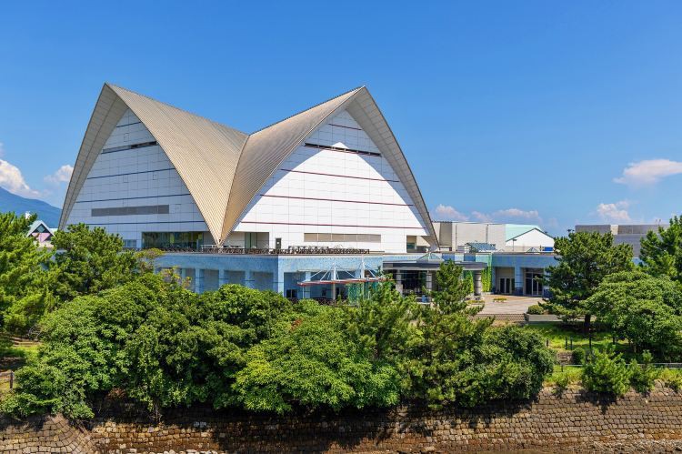 伊克烏素水族店【伊克烏素水族店 伊克烏素水族店【伊克烏素水族店\