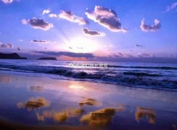 瑪麗魚(yú)放客廳大忌【《瑪麗魚(yú)放客廳大忌》】