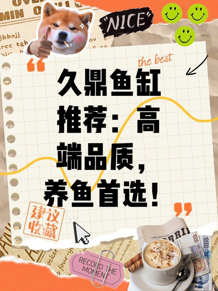 久鼎魚缸最建議買的3款【久鼎魚缸哪個系列性價比最高】