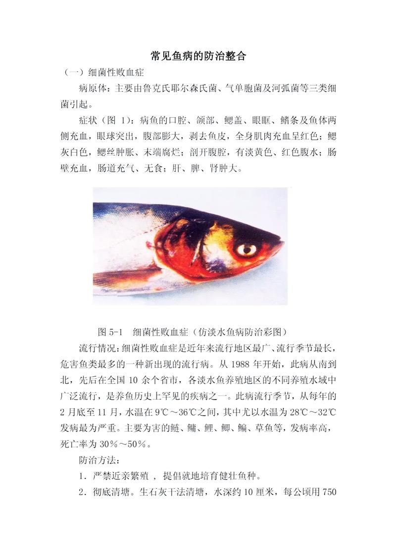 提供魚的常見病與防治圖片【《魚的常見病與防治》18種常見病及防治方法】 提供魚的常見病與防治圖片【《魚的常見病與防治》18種常見病及防治方法】 龍魚百科 第22張