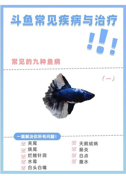 提供魚的常見病與防治圖片【《魚的常見病與防治》18種常見病及防治方法】 提供魚的常見病與防治圖片【《魚的常見病與防治》18種常見病及防治方法】 龍魚百科 第11張