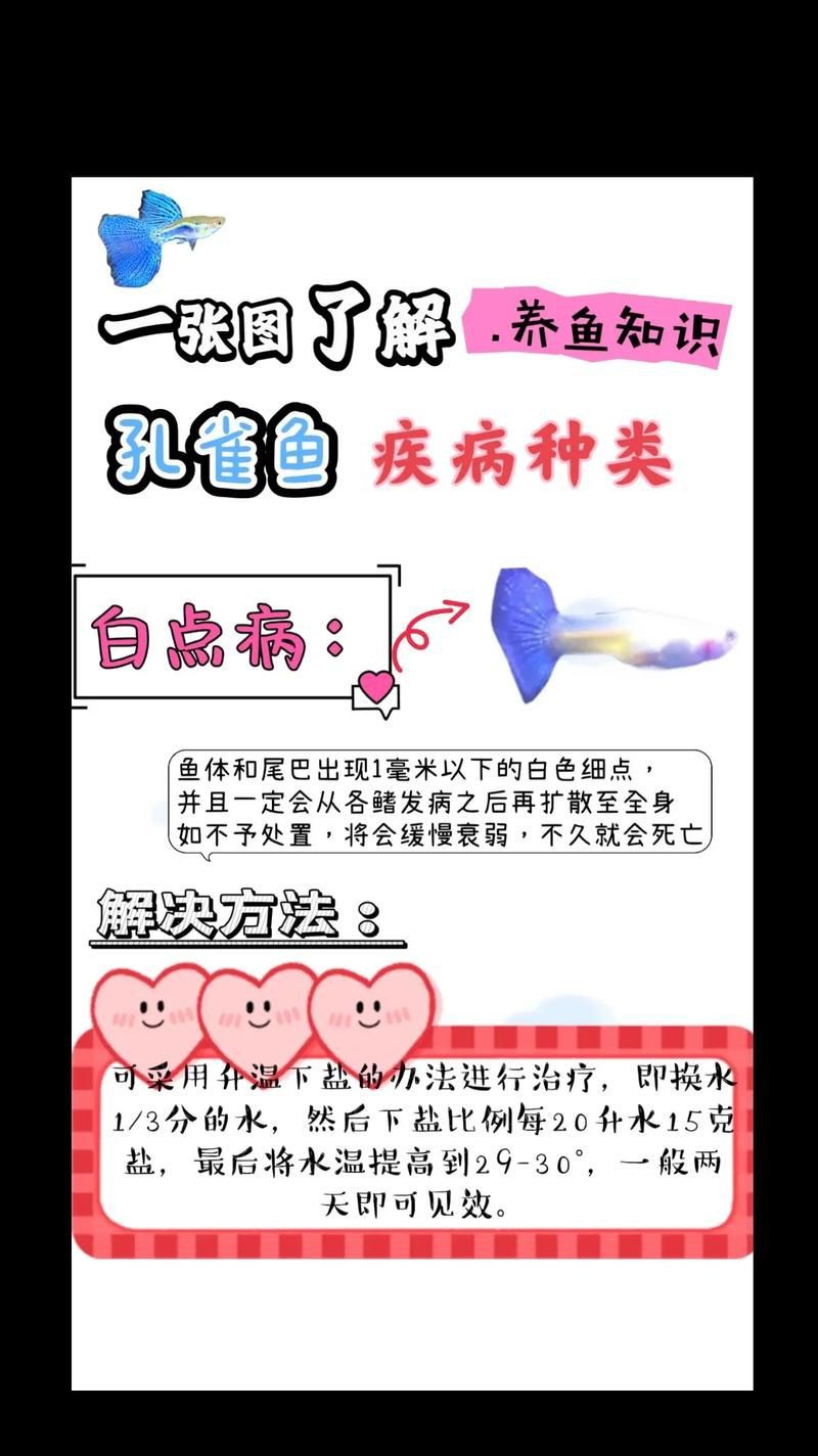 提供魚的常見病與防治圖片【《魚的常見病與防治》18種常見病及防治方法】 提供魚的常見病與防治圖片【《魚的常見病與防治》18種常見病及防治方法】 龍魚百科 第19張