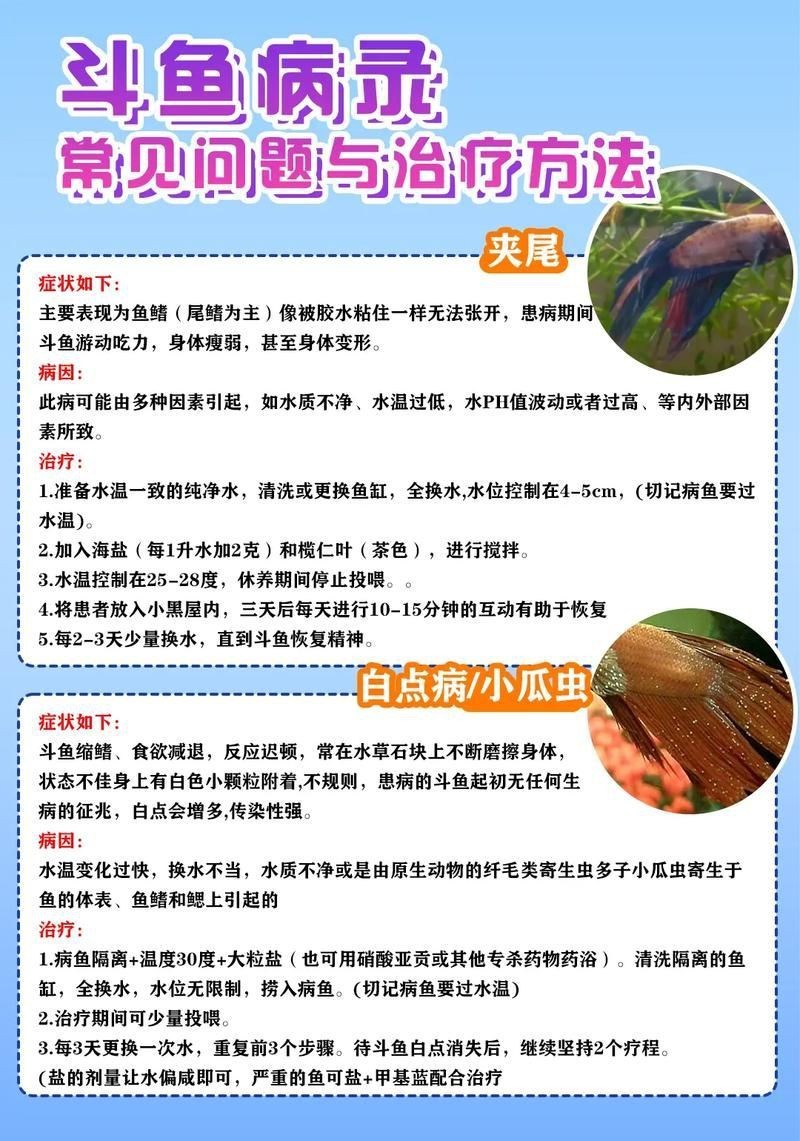 提供魚的常見病與防治圖片【《魚的常見病與防治》18種常見病及防治方法】 提供魚的常見病與防治圖片【《魚的常見病與防治》18種常見病及防治方法】 龍魚百科 第5張