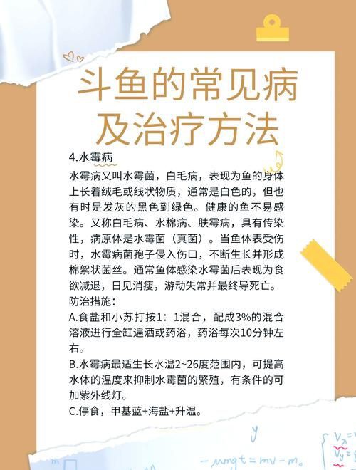 提供魚的常見病與防治圖片【《魚的常見病與防治》18種常見病及防治方法】 提供魚的常見病與防治圖片【《魚的常見病與防治》18種常見病及防治方法】 龍魚百科 第10張