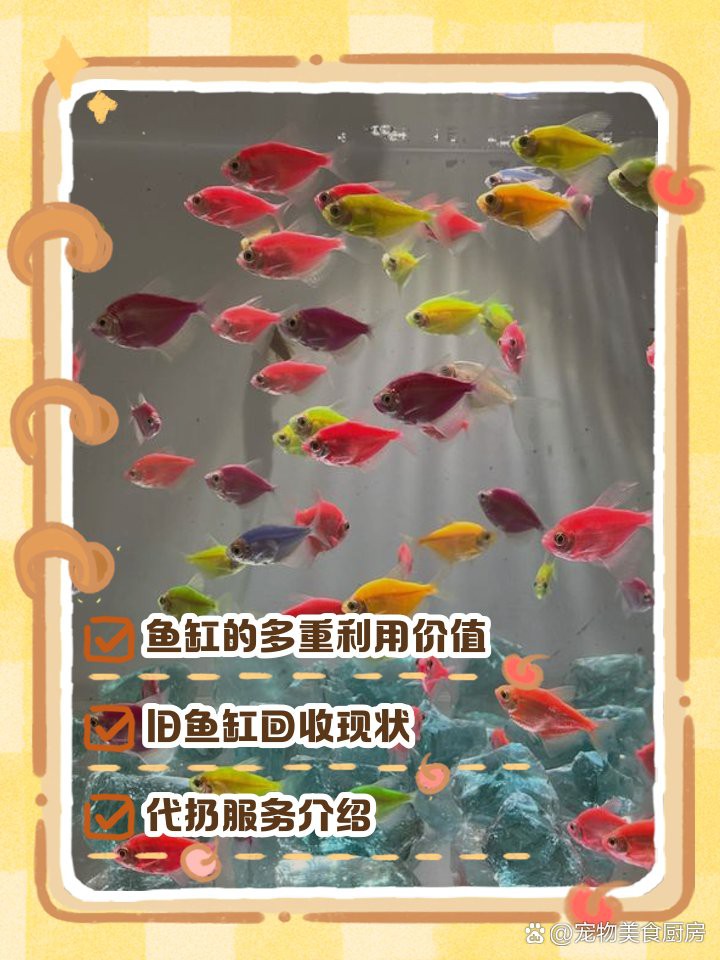不是風(fēng)水舊魚缸可以扔掉嗎【不是風(fēng)水舊魚缸是否可以扔掉】
