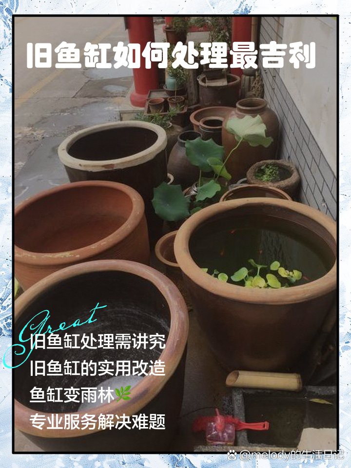 不是風(fēng)水舊魚缸可以扔掉嗎【不是風(fēng)水舊魚缸是否可以扔掉】