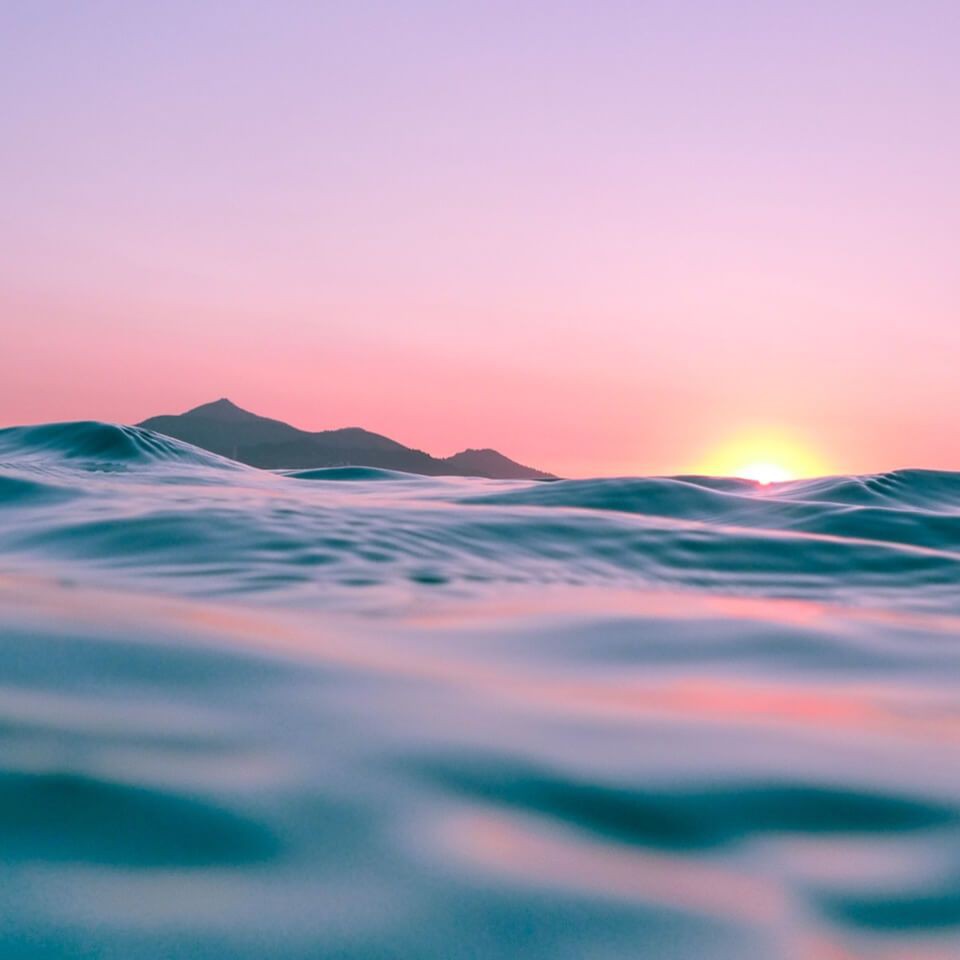 張家界水族批發(fā)市場【張家界水族批發(fā)市場是當?shù)刂匾乃a(chǎn)及水族用品集散地】