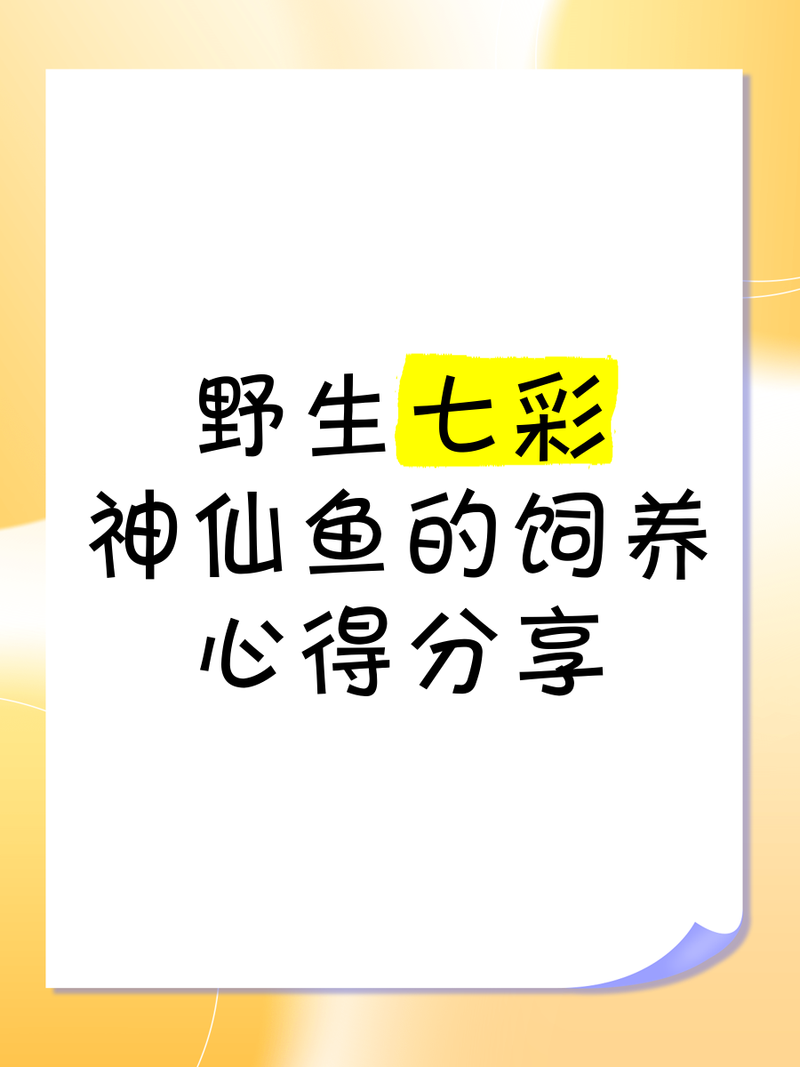 七彩野彩魚(yú)為何要少吃【七彩神仙魚(yú)的飼養(yǎng)技術(shù)】 七彩野彩魚(yú)為何要少吃【七彩神仙魚(yú)的飼養(yǎng)技術(shù)】 龍魚(yú)論壇 第1張