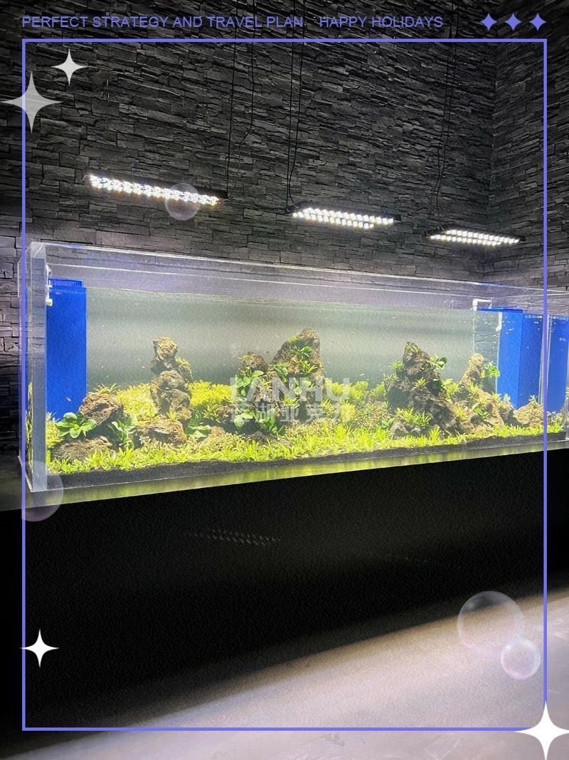 橫放缸和豎放缸的價格差異大嗎?【橫放缸與豎放缸價格差異】 龍魚百科 第1張 橫放缸和豎放缸的價格差異大嗎?【橫放缸與豎放缸價格差異】 橫放缸和豎放缸的價格差異大嗎?【橫放缸與豎放缸價格差異】 龍魚百科 第1張