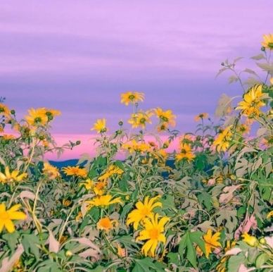 眉山魚缸維護【眉山地區的魚缸維護是一項綜合性服務,涵蓋水質管理、設備養護及生物健康等多方面】 全國水族館企業名錄 第12張 眉山魚缸維護【眉山地區的魚缸維護是一項綜合性服務,涵蓋水質管理、設備養護及生物健康等多方面】 眉山魚缸維護【眉山地區的魚缸維護是一項綜合性服務,涵蓋水質管理、設備養護及生物健康等多方面】 全國水族館企業名錄 第12張