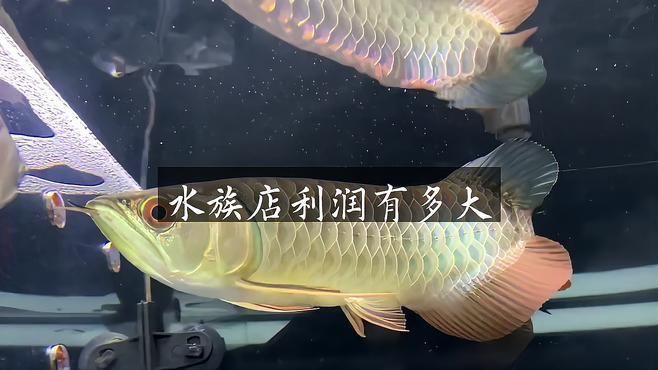 開水族館靠什么掙錢【亞特蘭蒂斯水族館游玩攻略雙爸育兒坊水族館游玩攻略】