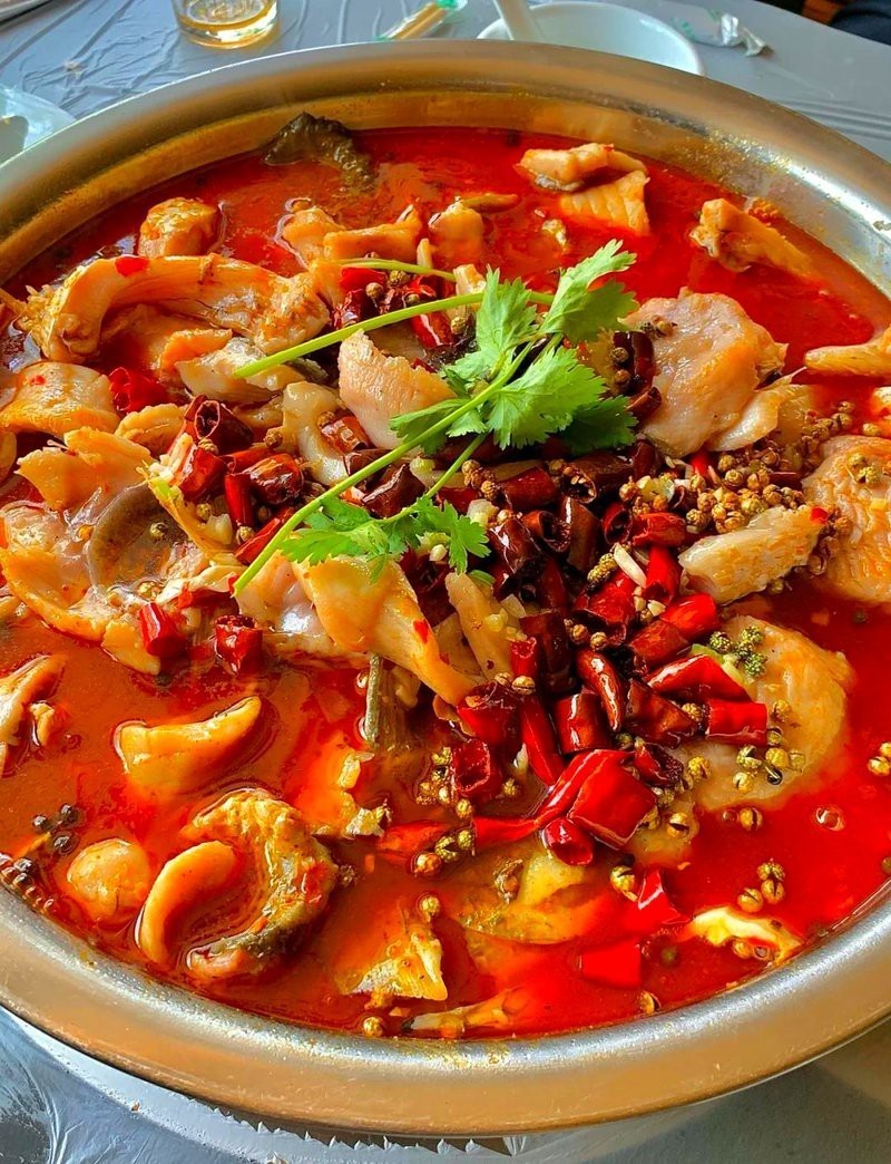 元氏龍魚店【元氏縣有哪些專業(yè)的龍魚漁場】