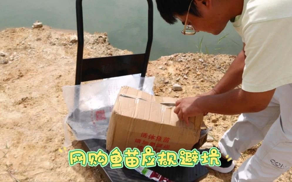 拼多多買魚苗可靠嗎【拼多多買魚苗可靠性參差不齊，智能模式回答完成調用工具】