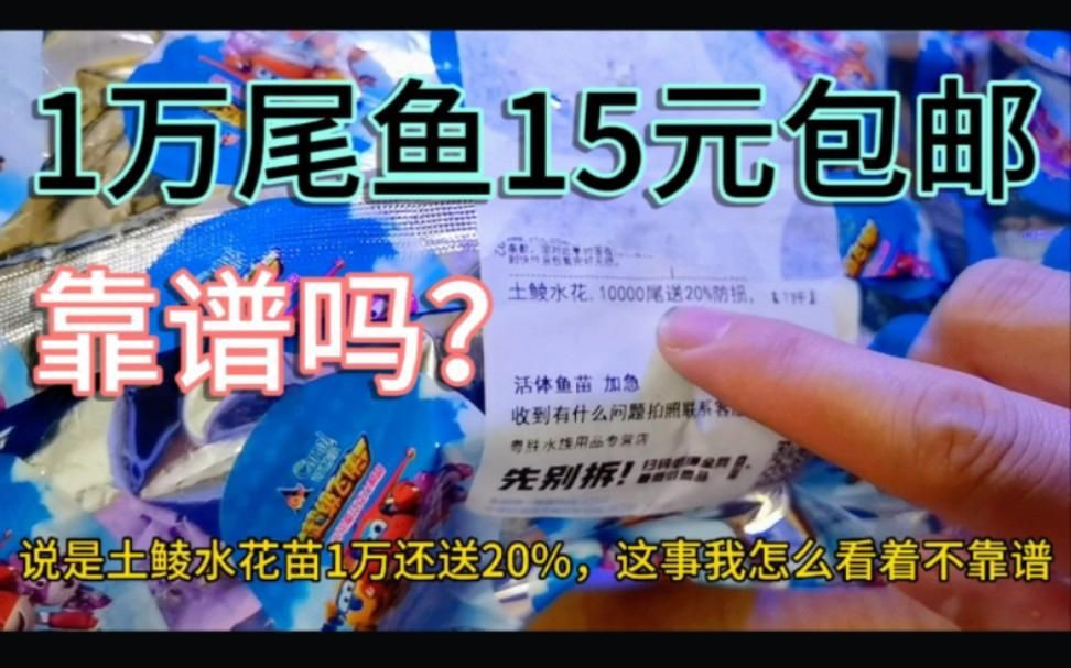 拼多多買魚苗可靠嗎【拼多多買魚苗可靠性參差不齊，智能模式回答完成調用工具】