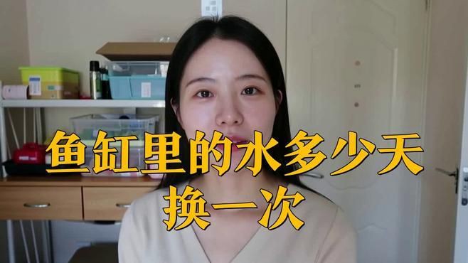 屬龍人養魚需要多久換一次水？【屬龍人養魚多久換一次水合適魚缸換水頻率全攻略】