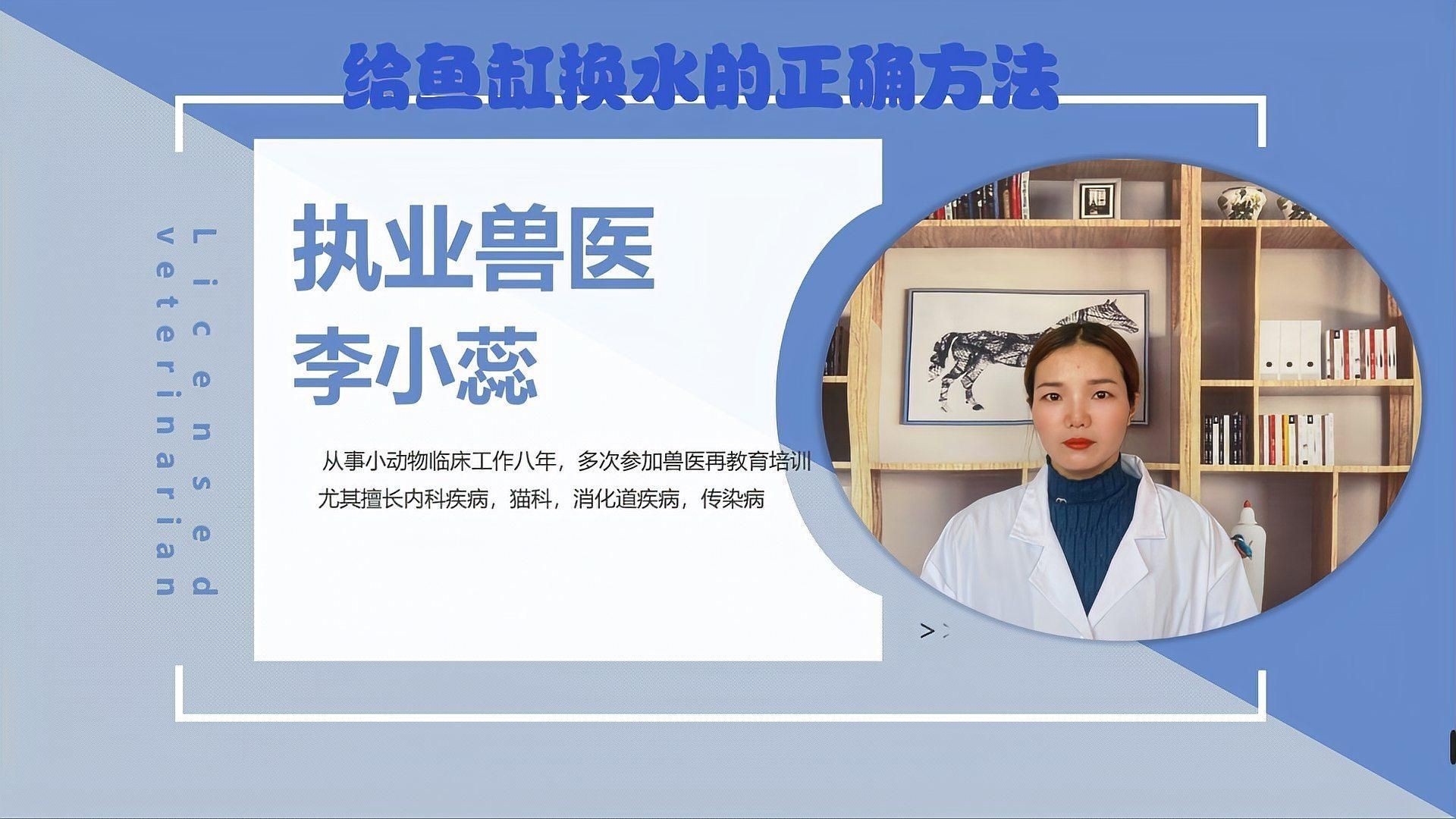 屬龍人養魚需要多久換一次水？【屬龍人養魚多久換一次水合適魚缸換水頻率全攻略】