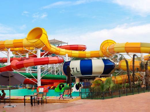 冷水江龍魚店【冷水江有沒有觀賞魚市場】