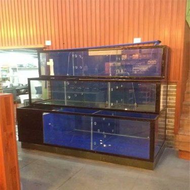 煙臺魚缸批發市場【煙臺魚缸批發市場全攻略帶你一秒踏進“春天”】