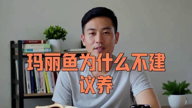瑪麗魚為什么不建議養(yǎng)【《瑪麗魚為什么不建議養(yǎng)》】 瑪麗魚為什么不建議養(yǎng)【《瑪麗魚為什么不建議養(yǎng)》】 龍魚百科 第1張