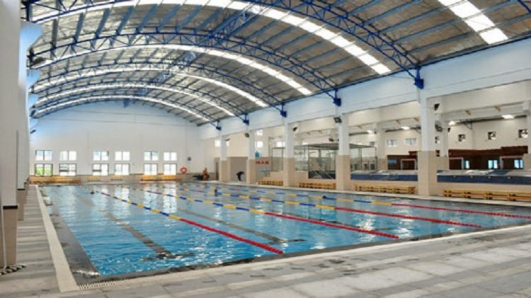 南城水族店【東莞南城匯聚多家特色水族店】 南城水族店【東莞南城匯聚多家特色水族店】 全國水族館企業名錄 第2張