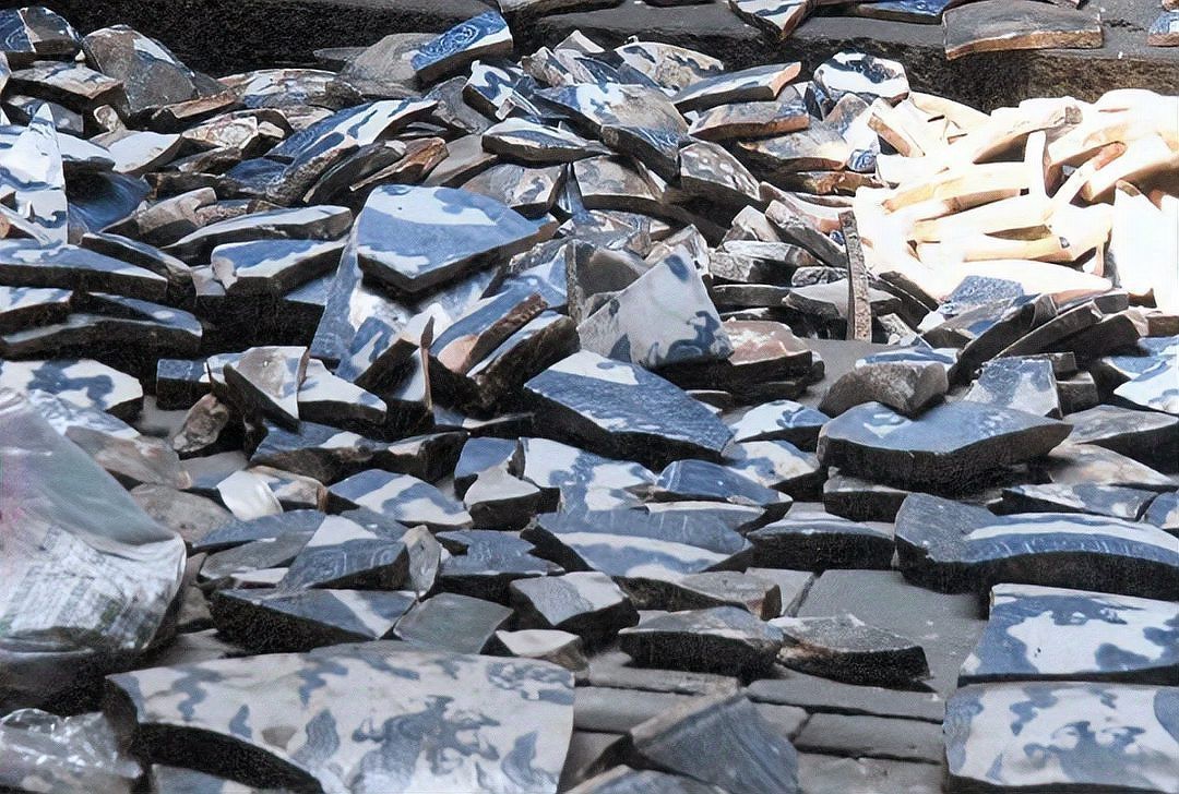 2024龍缸尺寸【2024年龍缸尺寸的詳細規格及其應用場景】 2024龍缸尺寸【2024年龍缸尺寸的詳細規格及其應用場景】 龍魚論壇 第3張