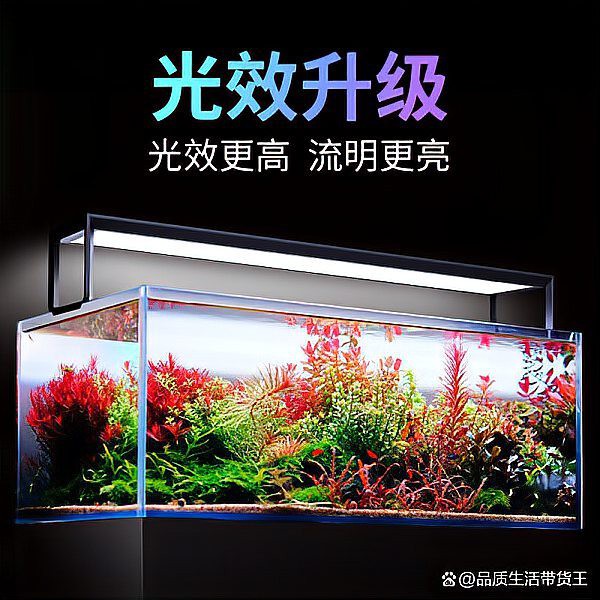 什么品牌水草燈質量好【尼特利水草燈品牌水草燈品牌深度評測與選購指南】