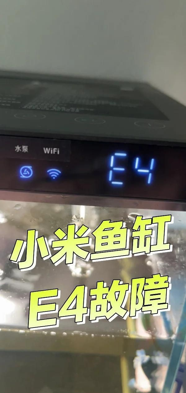 家用魚缸維修【家用魚缸的維修方法】 家用魚缸維修【家用魚缸的維修方法】 全國水族館企業名錄 第6張