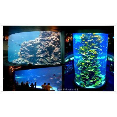 無錫魚缸定做【無錫魚缸定做服務】