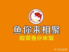 北侖龍魚店【北侖地區(qū)的龍魚餐飲店有哪些？】