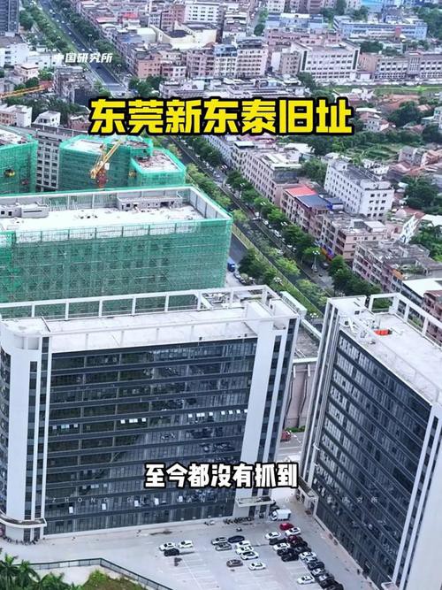 東莞新東泰五虎照片【東莞“新東泰”\