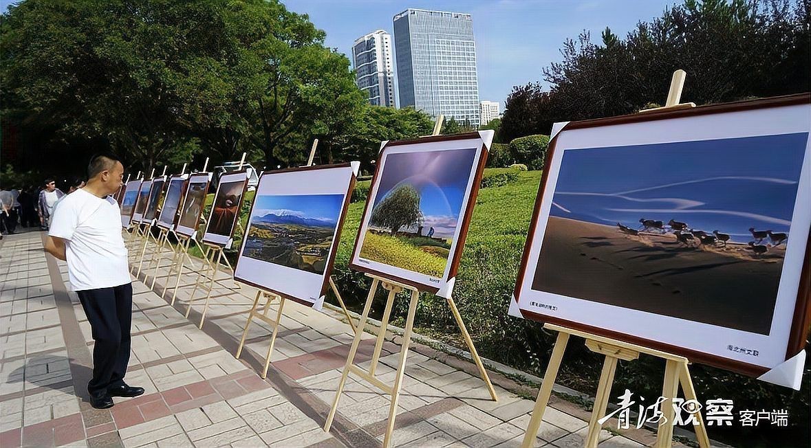 海北藏族自治州水族店【海北藏族自治州內(nèi)水族店】