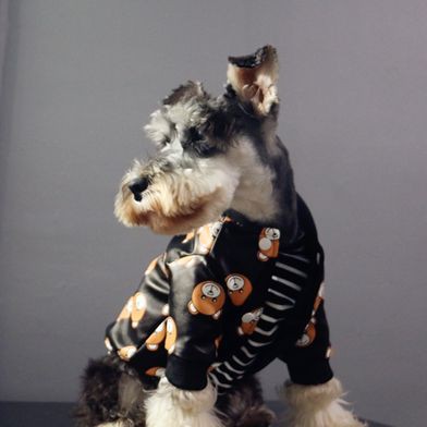 灰狗頭魚最忌三種東西【《灰狗頭魚最忌三種東西》灰狗頭魚最忌三種東西科學配比】