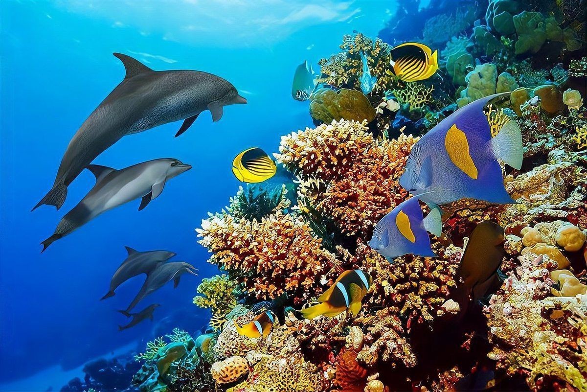 深海龍魚有哪些天敵？【深海龍魚混養指南:深海龍魚混養指南】