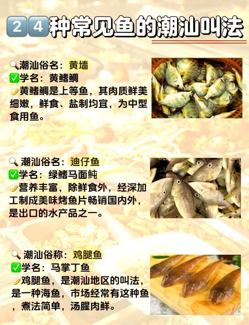 廣東常見30種小魚【廣東地區常見的30種小型魚類及其特點，你知道幾種】