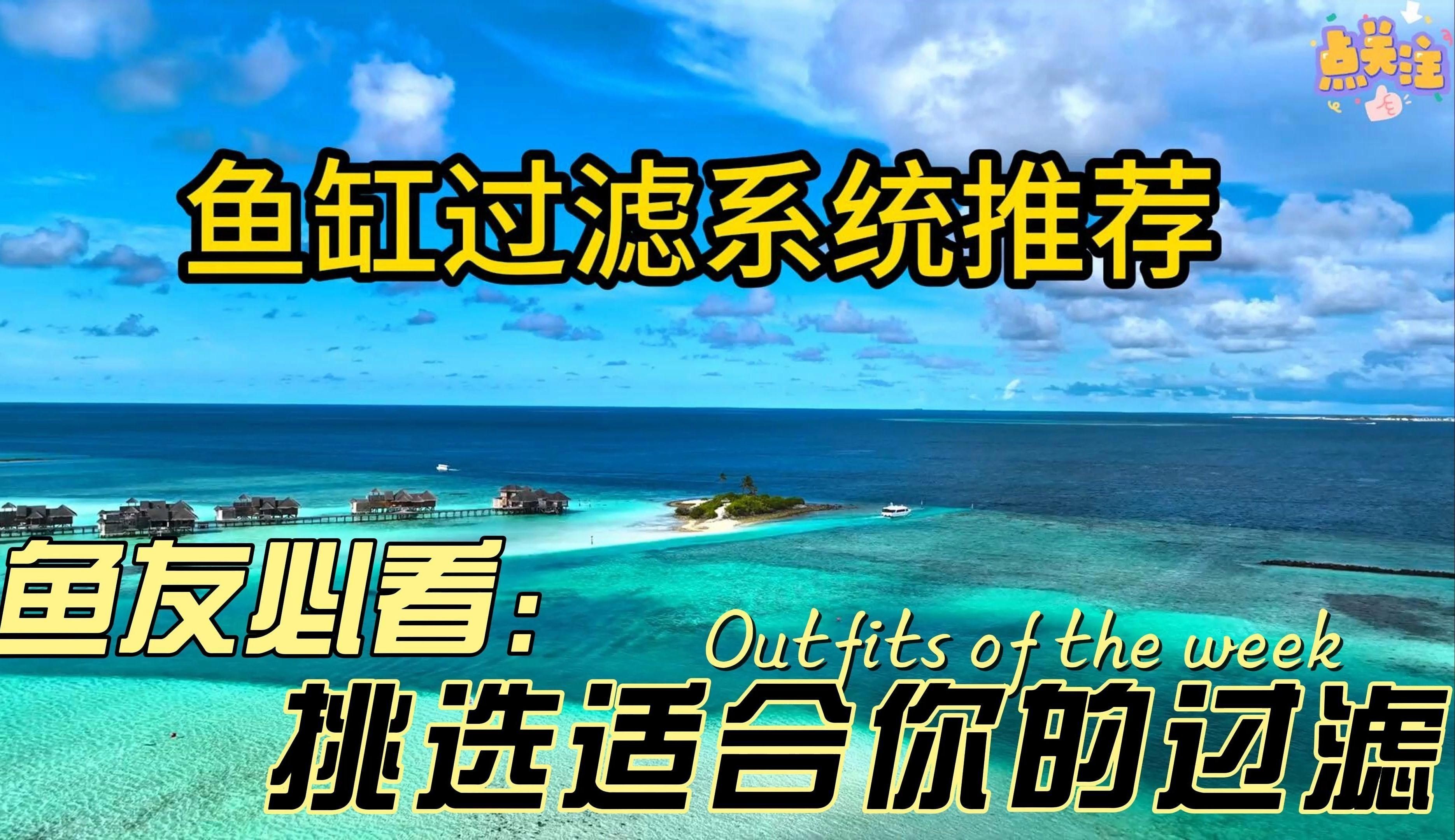 水族箱過濾系統選擇【你的魚缸過濾系統選哪種一分鐘了解常見類型】 水族箱過濾系統選擇【你的魚缸過濾系統選哪種一分鐘了解常見類型】 龍魚百科 第5張