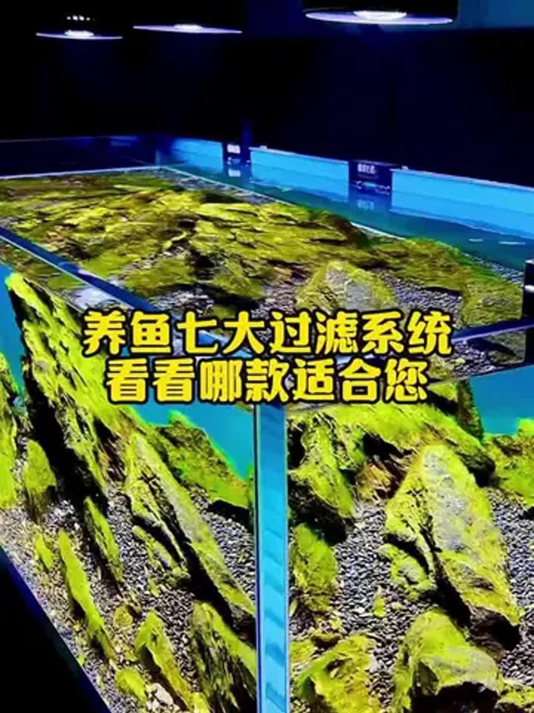 水族箱過濾系統選擇【你的魚缸過濾系統選哪種一分鐘了解常見類型】 水族箱過濾系統選擇【你的魚缸過濾系統選哪種一分鐘了解常見類型】 龍魚百科 第2張