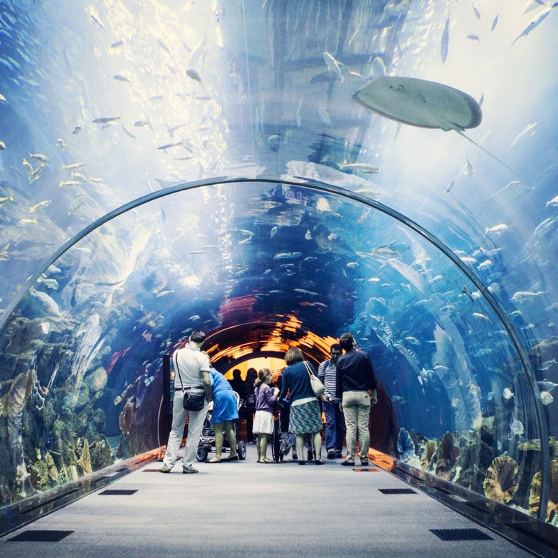 云霄水族店【云霄縣喜陽水族館】