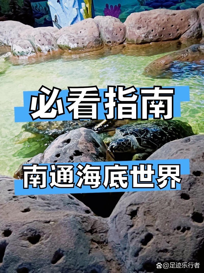 <strong><mark>南通</mark></strong>水族店【<strong><mark>南通</mark></strong>水族店有哪些特色生物】