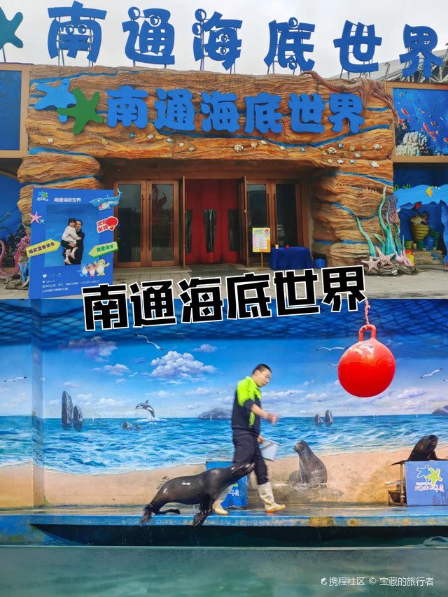 南通水族店【南通水族店有哪些特色生物】