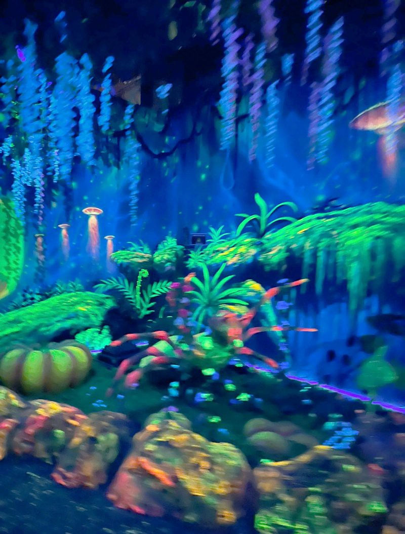 南通水族店【南通水族店有哪些特色生物】