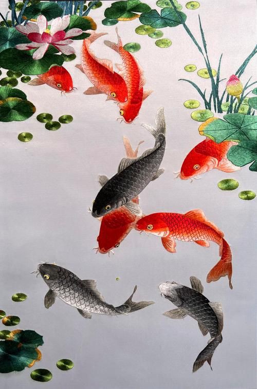 最旺財的九魚圖【《最旺財的九魚圖》】 最旺財的九魚圖【《最旺財的九魚圖》】 龍魚百科 第15張