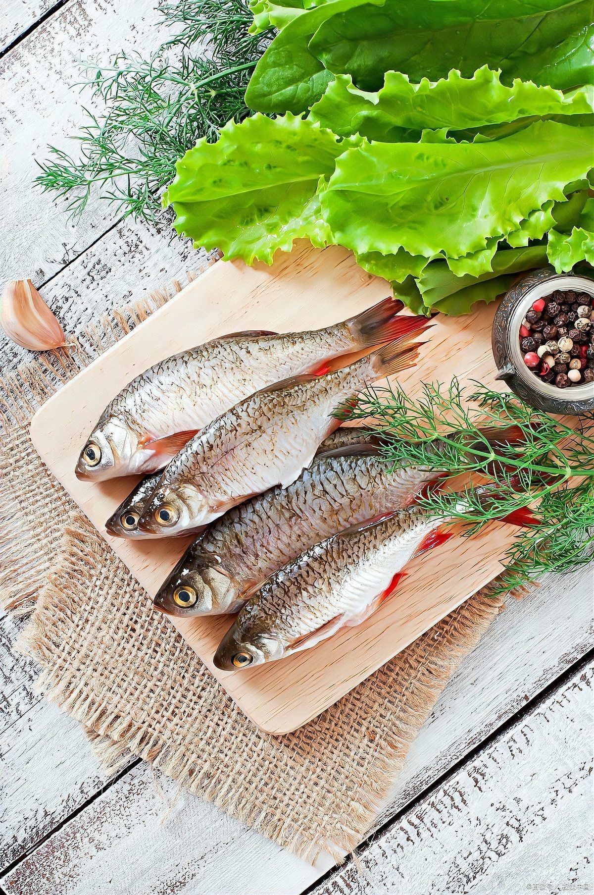 明太魚是海魚還是淡水魚【明太魚是海魚還是淡水魚一文帶你了解在梅花山下努力生活的小米鼠】