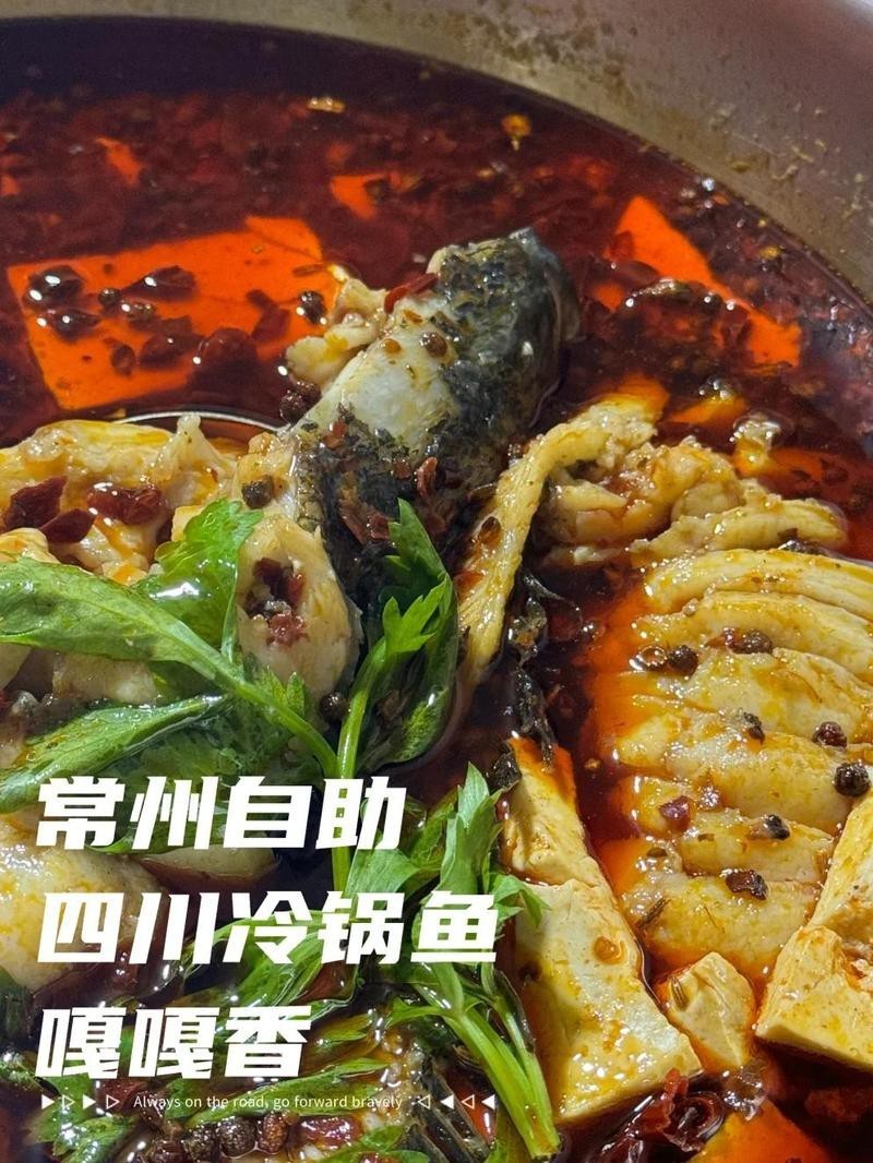 四川龍魚店【開個四川龍魚店需要多少錢】 四川龍魚店【開個四川龍魚店需要多少錢】 全國水族館企業名錄 第3張