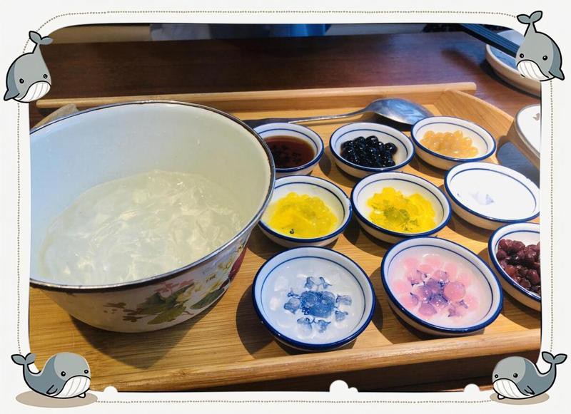 四川龍魚店【開個四川龍魚店需要多少錢】 四川龍魚店【開個四川龍魚店需要多少錢】 全國水族館企業名錄 第2張