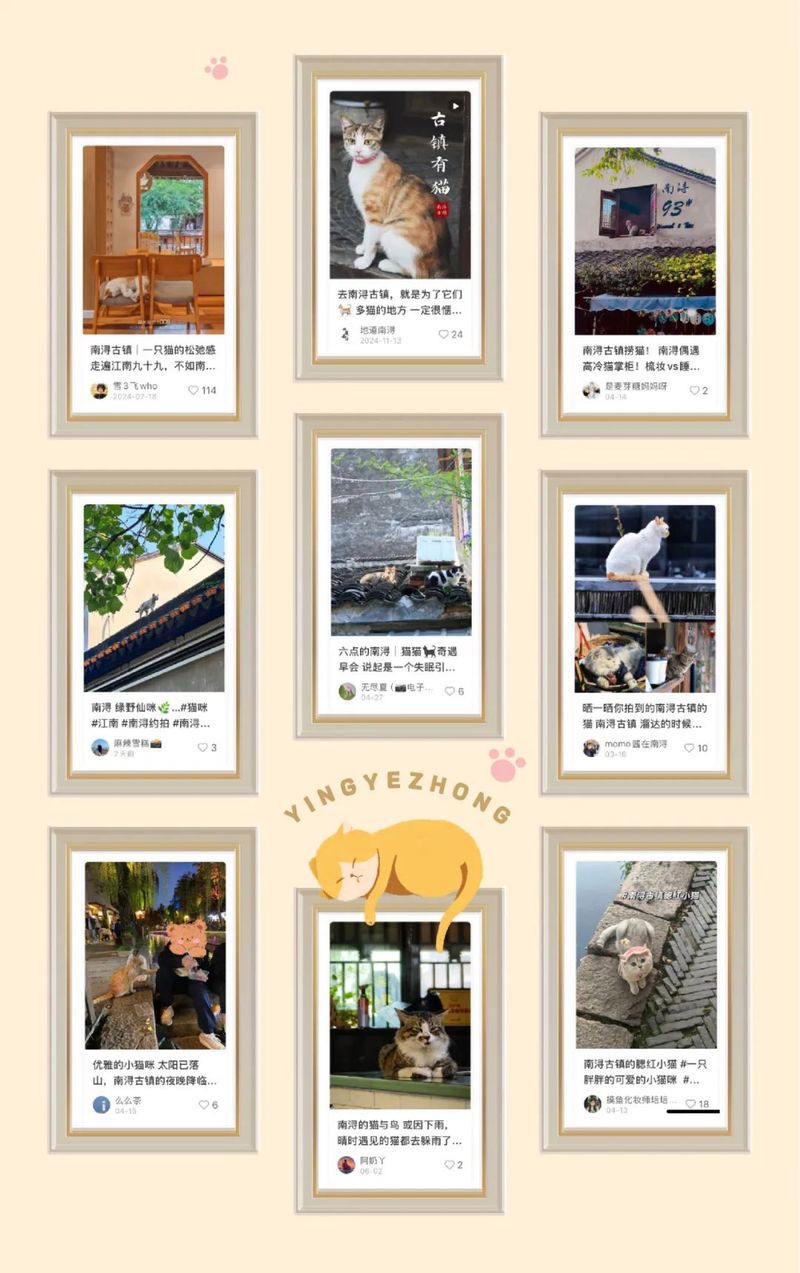 南潯龍魚店【南潯地區的“龍魚店”是一個融合了特色水產養殖與觀賞魚文化的商業形態】