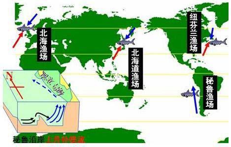 世界四大漁場分布圖【世界四大漁場】 世界四大漁場分布圖【世界四大漁場】 龍魚論壇 第8張