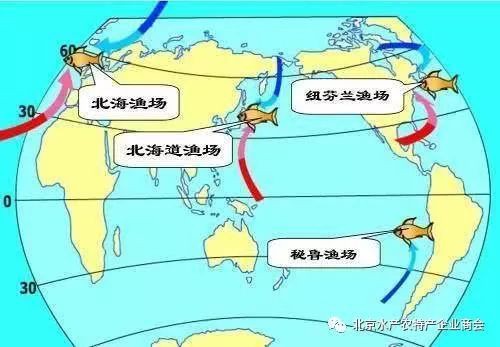 世界四大漁場分布圖【世界四大漁場】 世界四大漁場分布圖【世界四大漁場】 龍魚論壇 第2張