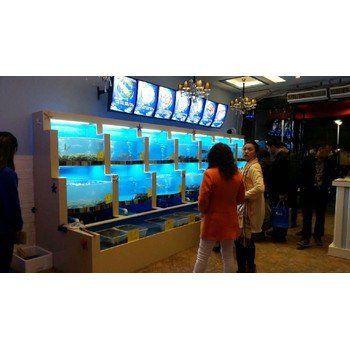 泰州魚缸維護【泰州地區的魚缸維護需注意多方面細節以確保魚類健康與水質穩定】