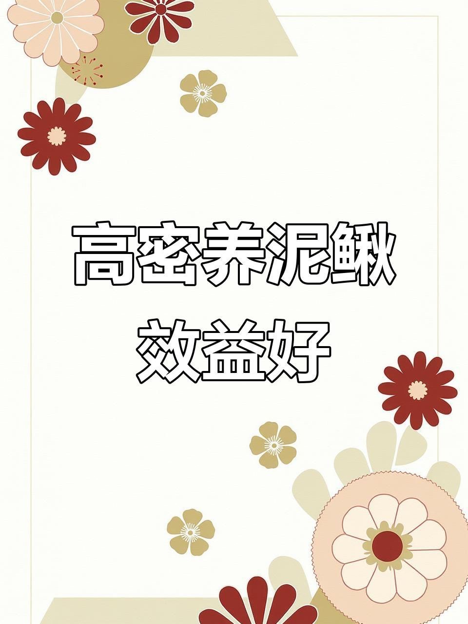 泥鰍養殖場【稻田黃鱔泥鰍養殖場打造生態農業新模式打造生態農業新模式】
