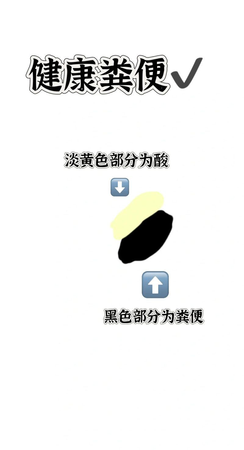 如何判斷白子招財龍是否健康？【如何判斷白子招財龍是否健康】 如何判斷白子招財龍是否健康？【如何判斷白子招財龍是否健康】 龍魚百科 第2張